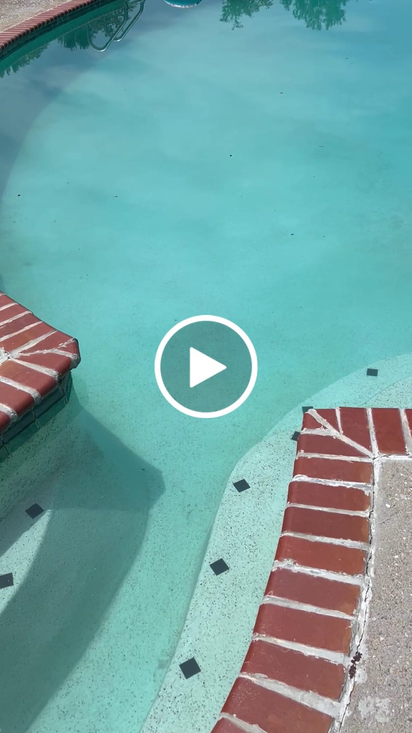 Customer video review of Regal Granular 90 - 10 Lb - 47246730