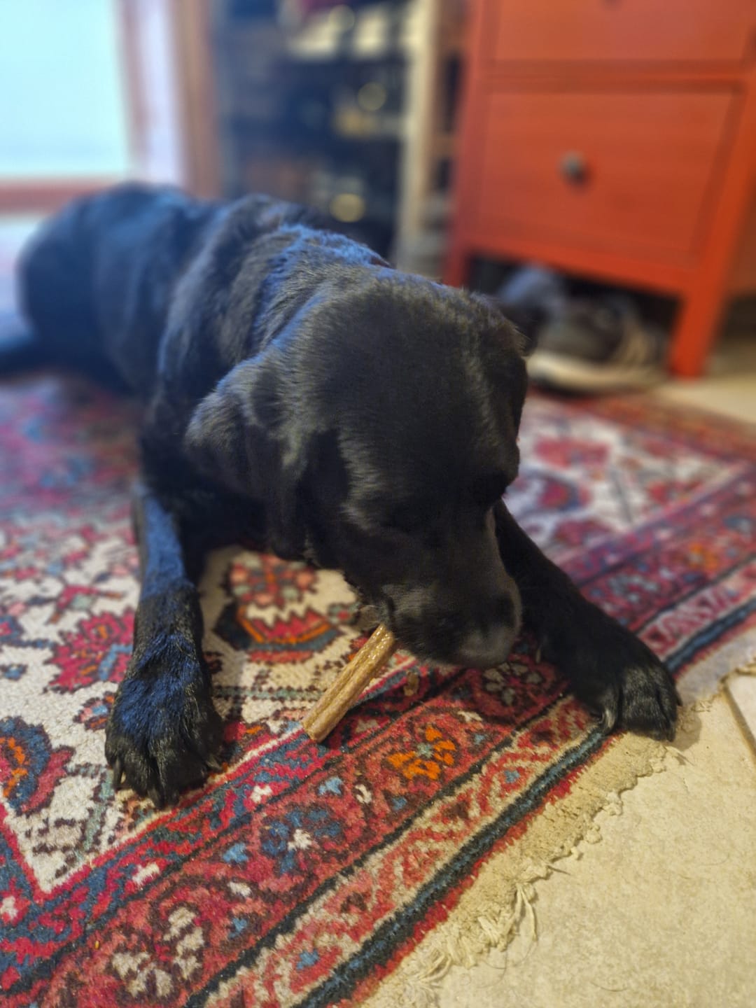Customer photo review of Kräuter Dentals für Hunde
