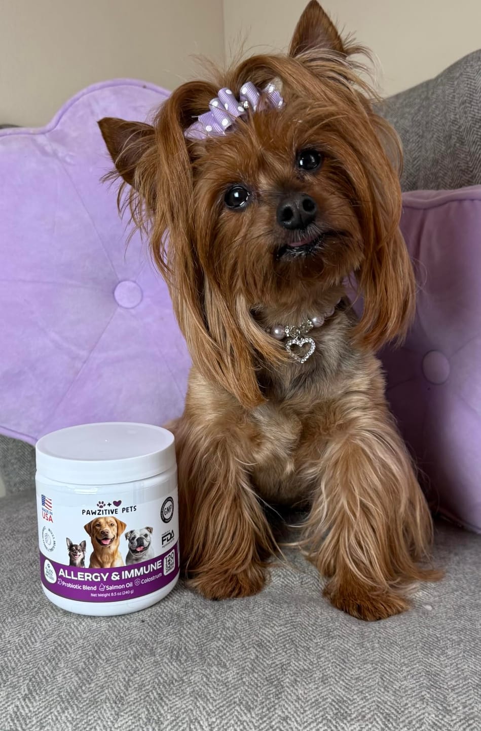 Customer photo review of Dog Allergy Chews for Itchy Skin, Paw Licking & Seasonal Allergies – Immune Support, 120 Soft Chews (Beef Flavor)
