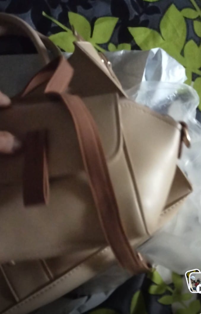 Customer photo review of Mini Flap Bag - Beige