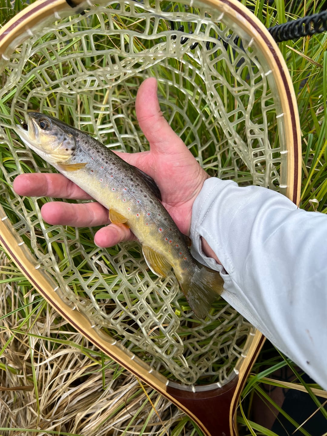 Customer photo review of Redington Field Kit Euro