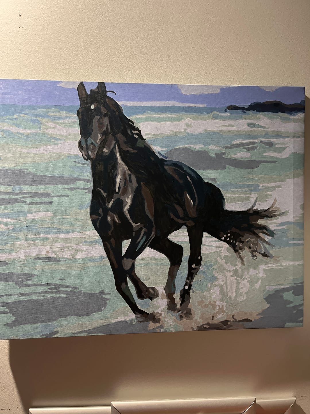 Customer photo review of Gorgeous Black Stallion