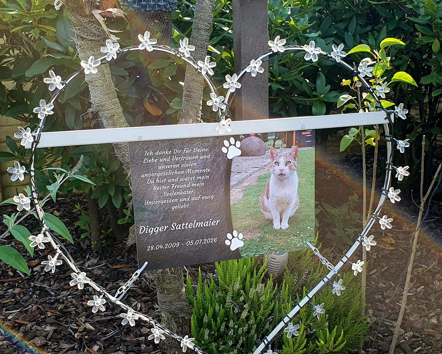 Customer photo review of Katzen Gedenktafel mit Foto & Spruch (UV- & Wetterfest)