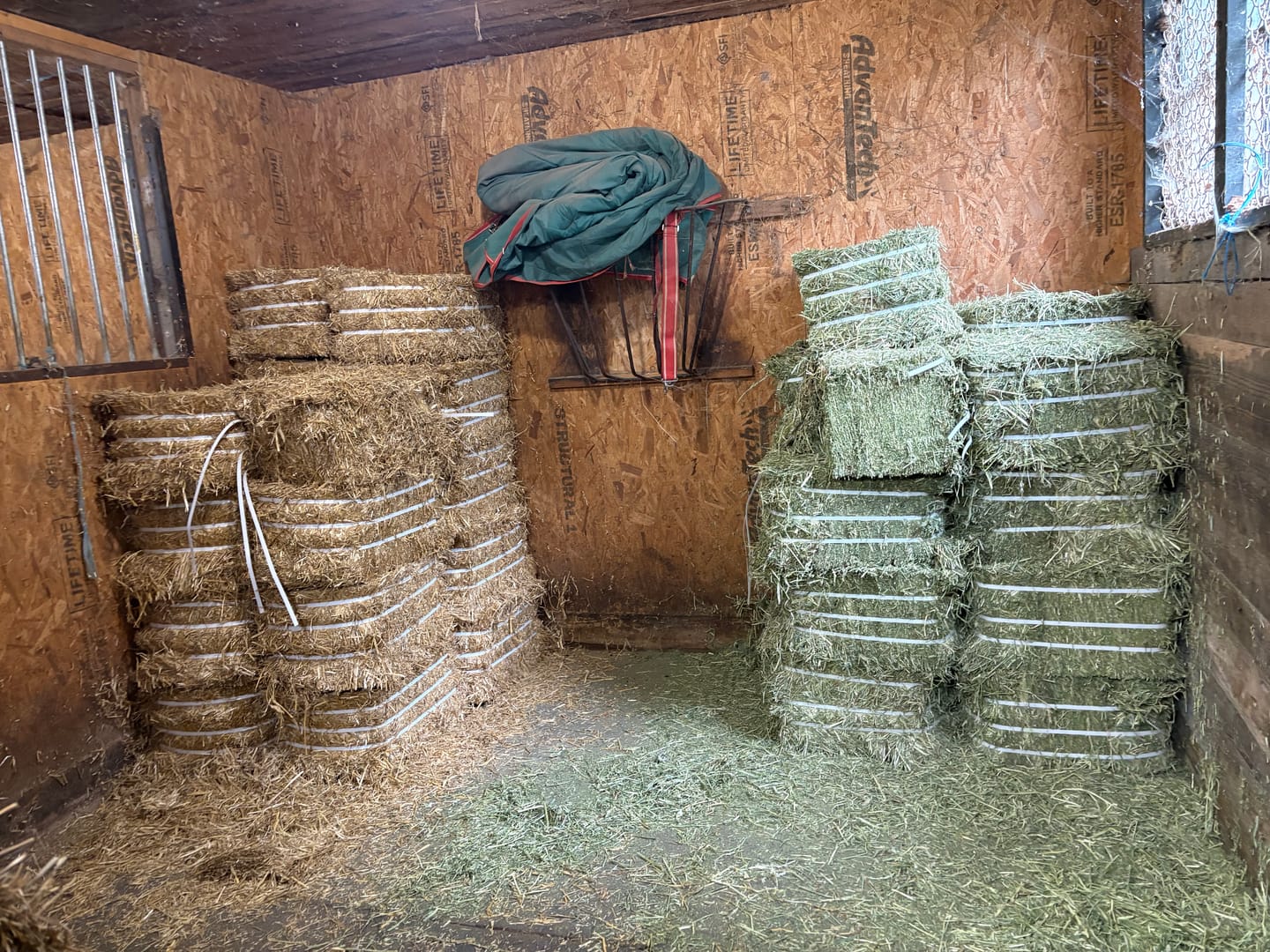Customer photo review of Timothy Orchard Alfalfa Mix Hay2nd Cut (Click here for Qty Discount)