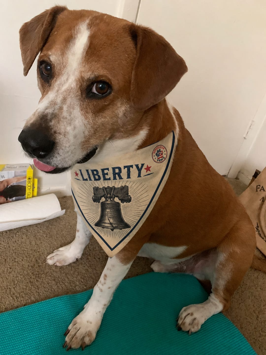 Customer photo review of Freedom Collection Dog Bandanas