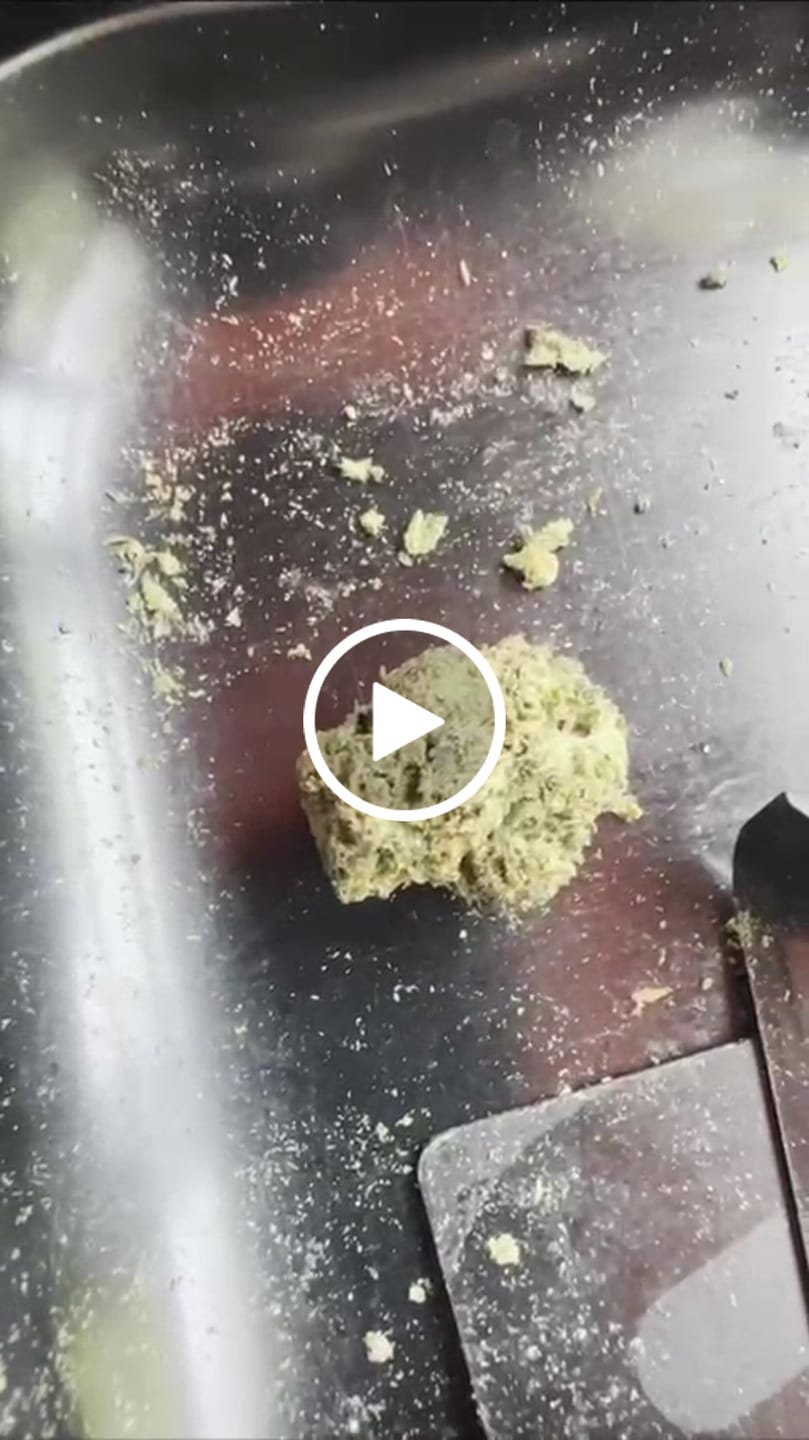 Customer video review of Purple Push Pop -THCa Flower