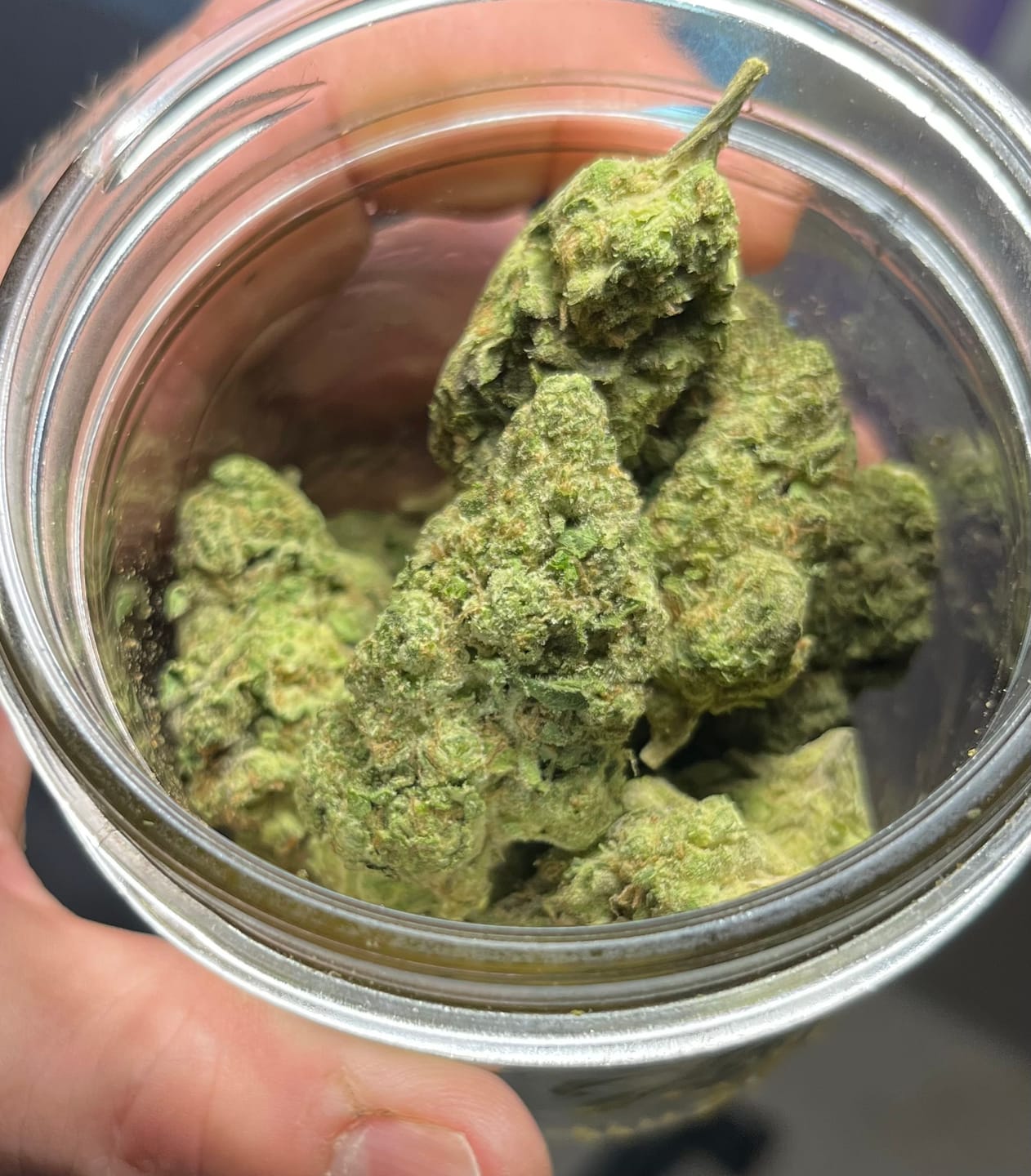 Customer photo review of Gush Mintz Indoor THCA