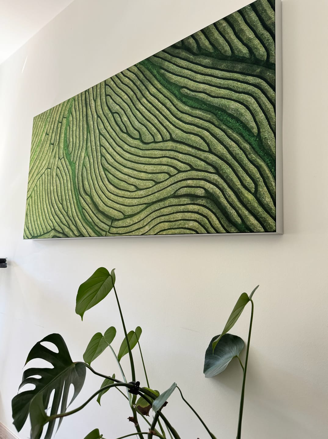 Customer photo review of Akustikbild mit Motiv "Teeplantage"