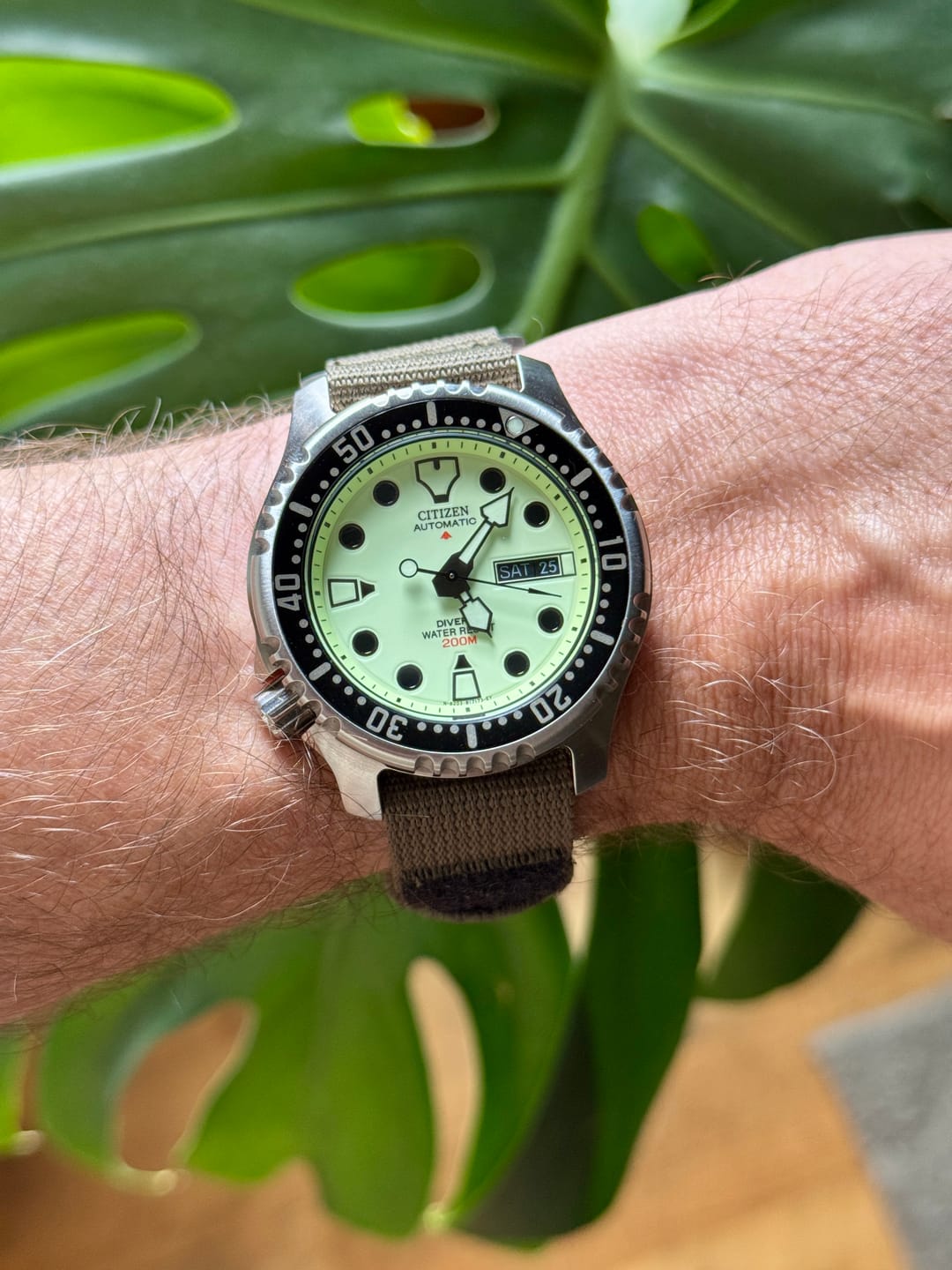 Customer photo review of Glomar Explorer - Hook And Loop Watch Strap
