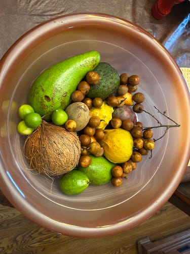Customer photo review of Tropical Variety Box
