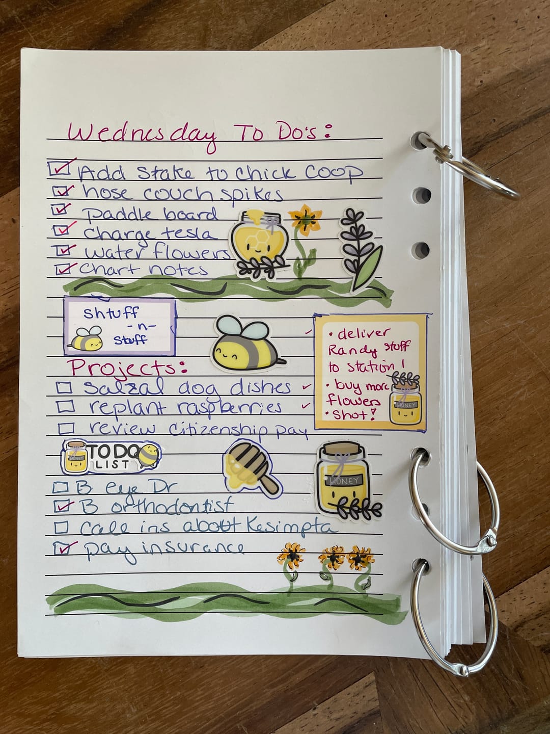 Customer photo review of Honey Lavender Planner Kit (Set of 6)