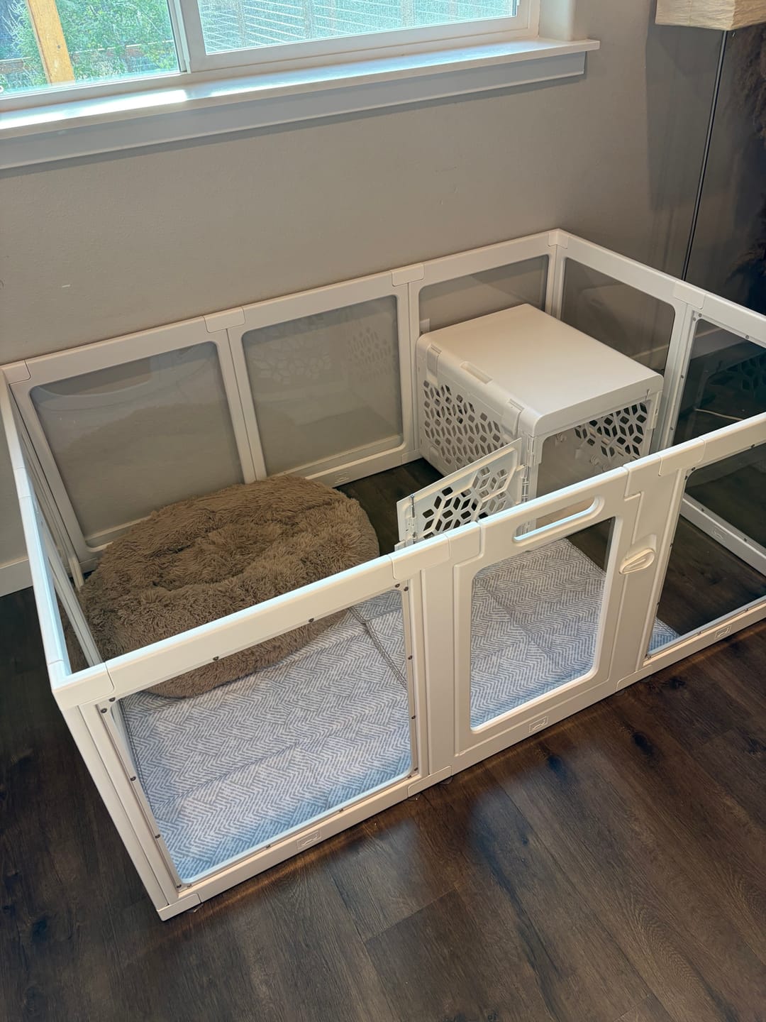 Customer photo review of PAWD®  Modern Collapsible Dog Crate