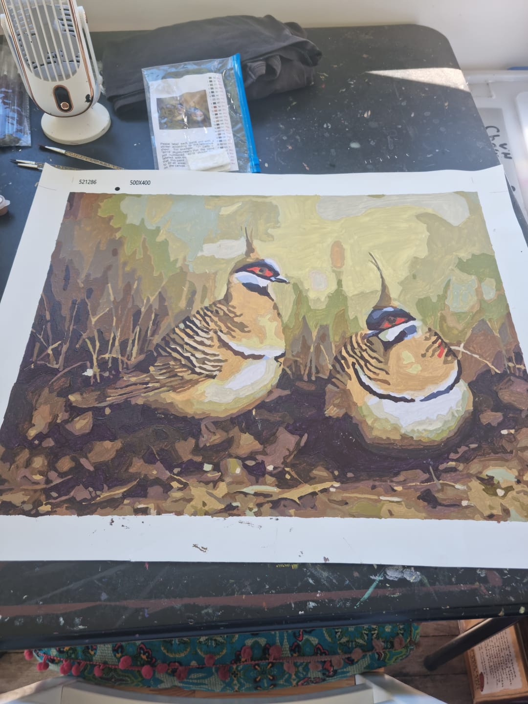 Customer photo review of Spinfix Pigeons