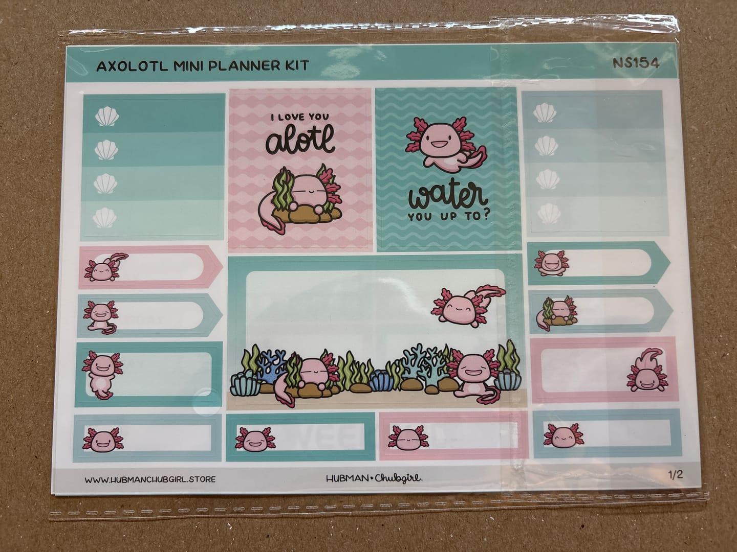 Customer photo review of Happy Axolotl Mini Planner Kit (Set of 2)