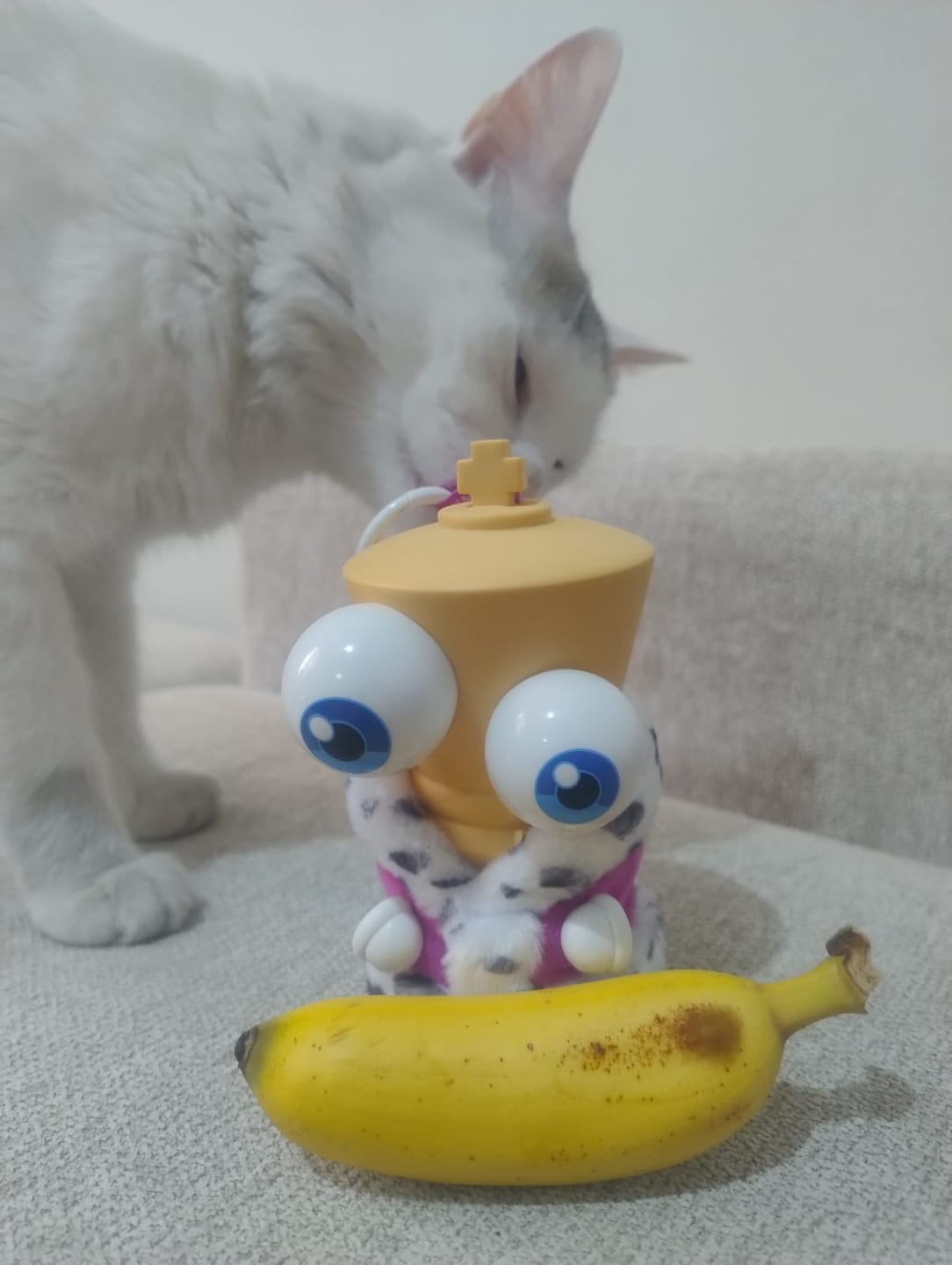 Customer photo review of Kinger Pendantz Blindbox