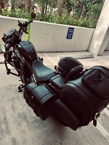 Customer photo review of 14L - Viper Medium Shock Cutout Harley Nightster RH975/S Leather Motorcycle Saddlebags