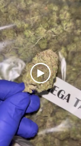 Customer video review of THC-A 28% Flower Candy Runtz