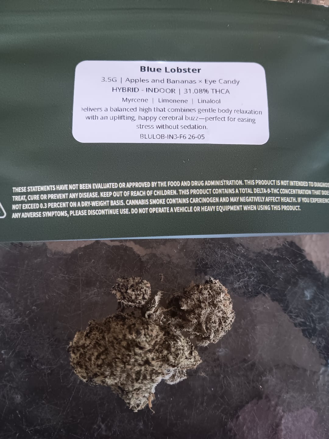 Customer photo review of Blue Lobster