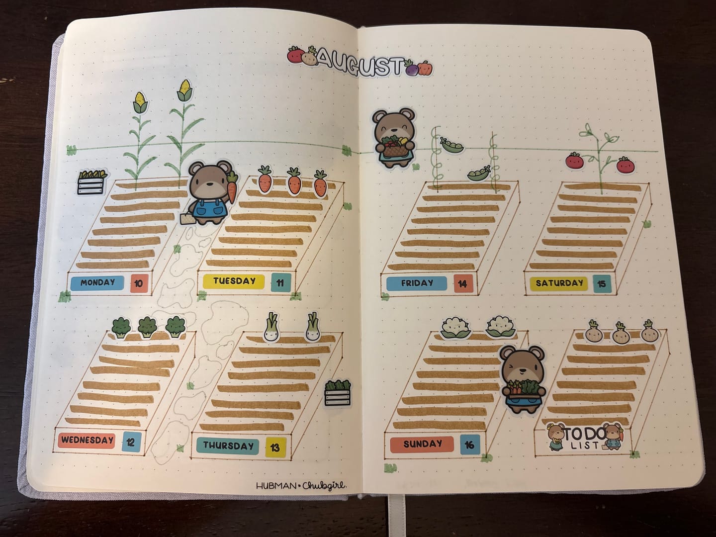 Customer photo review of Summer Market Box Set
