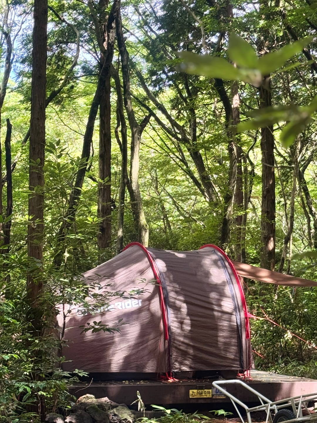 Customer photo review of MotoTent Awning Kit