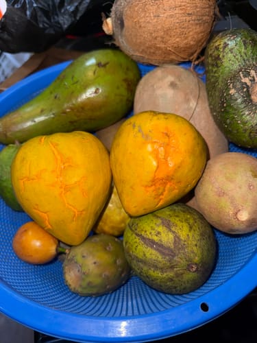 Customer photo review of Tropical Variety Box