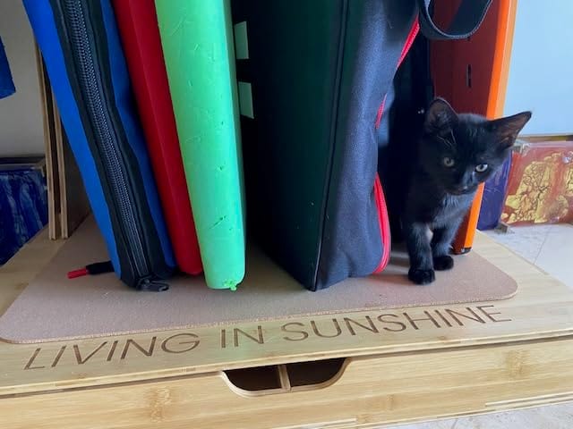 Customer photo review of The Spirit Rack