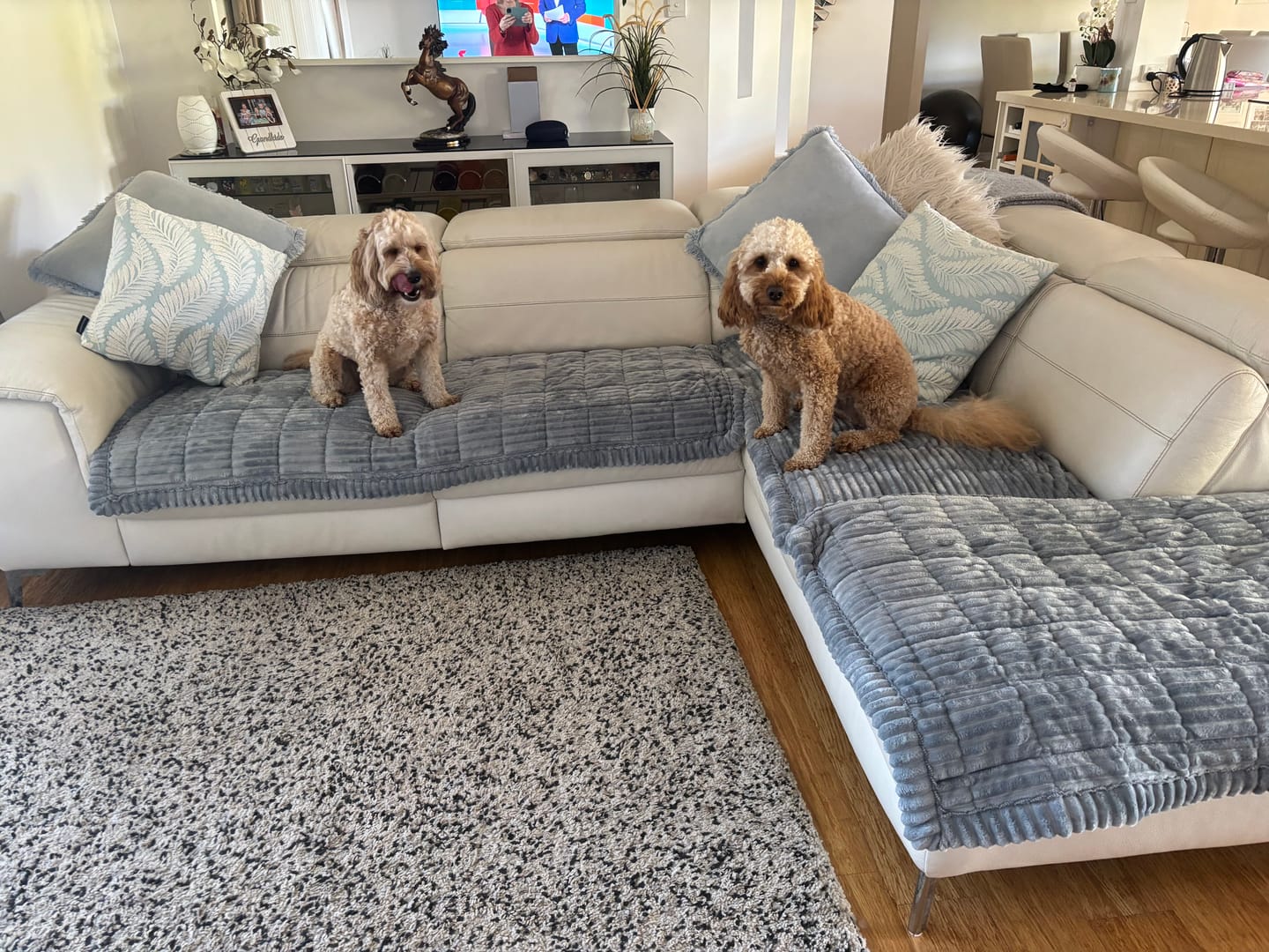 Customer photo review of LuxeLounge™ Couch Cover