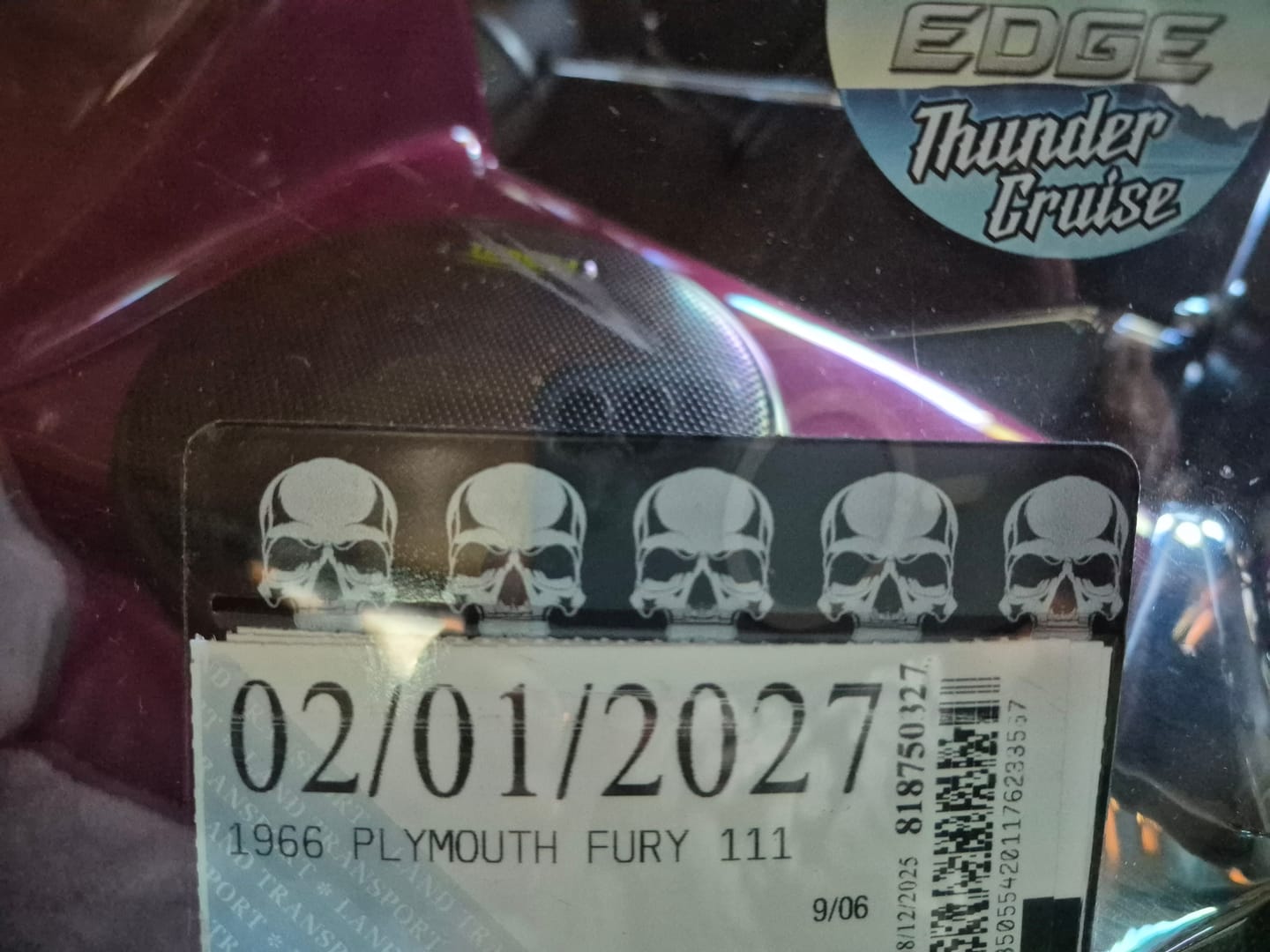 Customer photo review of Skulls