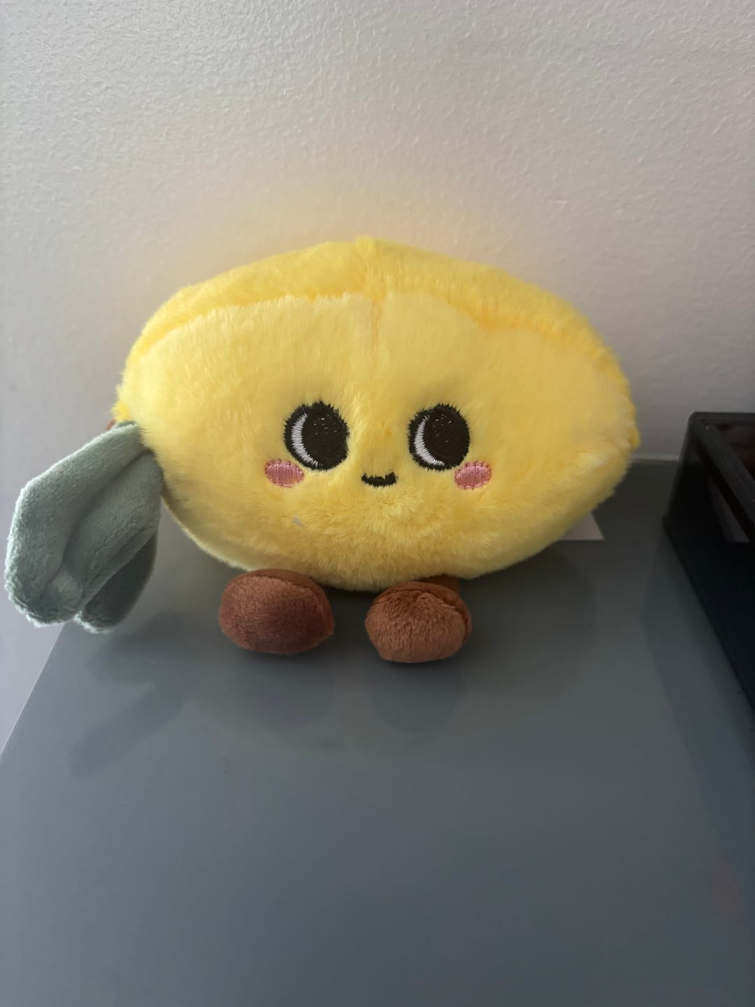 Customer photo review of Cute Fruit and Vegetable Plushies