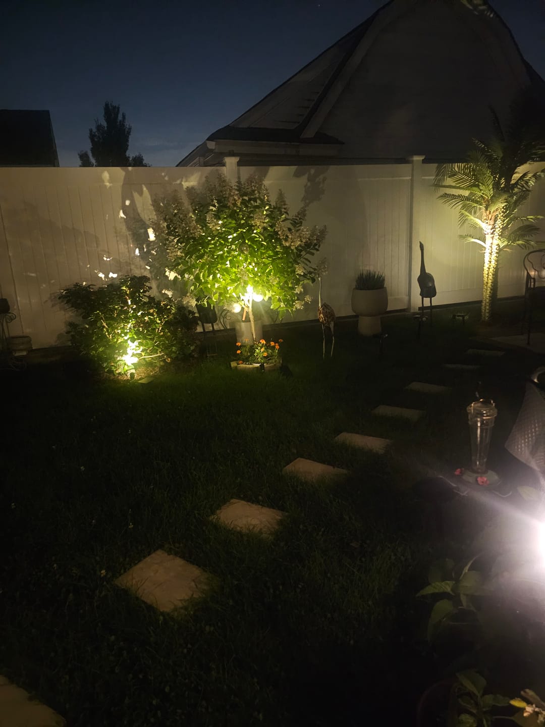 Customer photo review of TSUN Solar Spotlights Outdoor Garden Lights