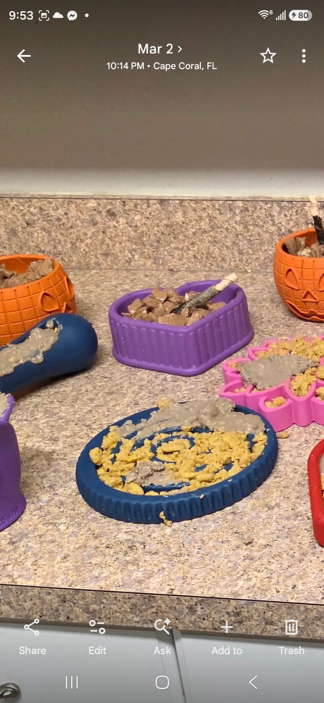 Customer photo review of FreezSwirl - Durable Stimulation Toy