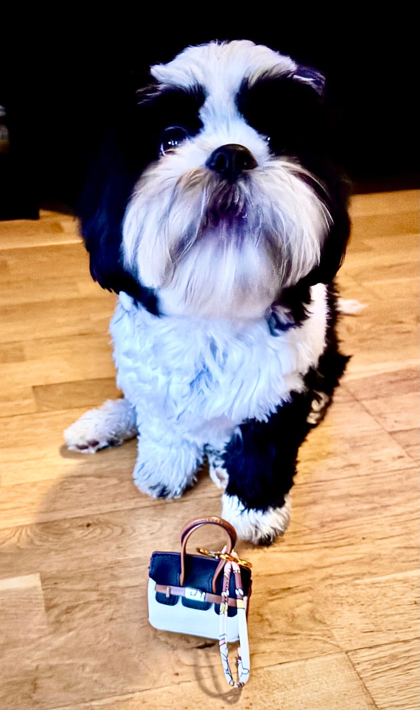 Customer photo review of Puppy Barkin - Väska för Bajspåsar