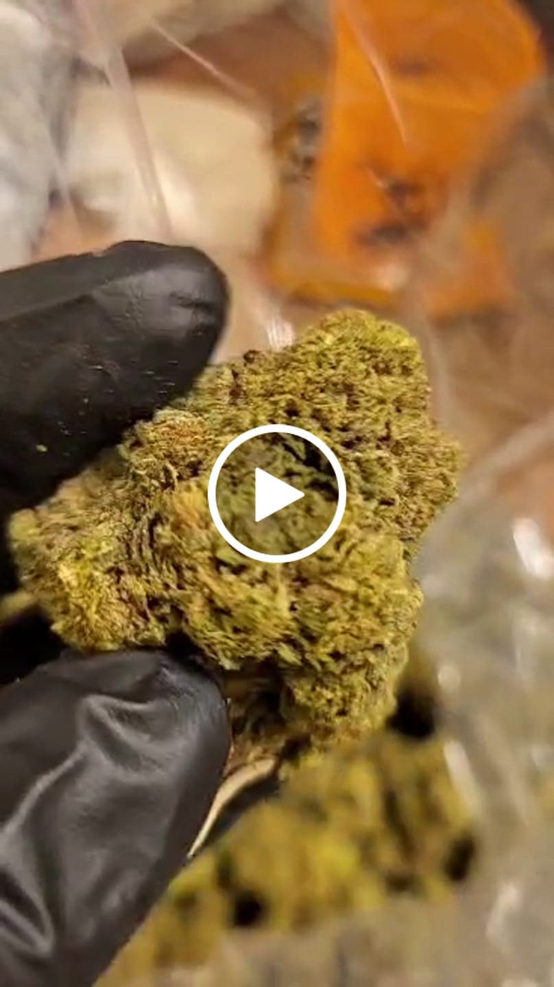 Customer video review of Lato Pop - Bulk - Hybrid