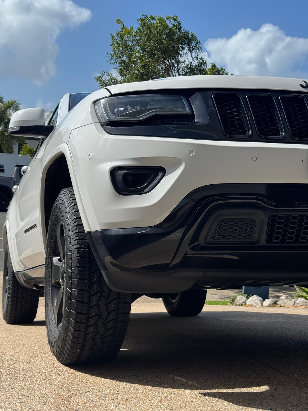 Customer photo review of 4x4 Magnetic Chassis Flusher Kit