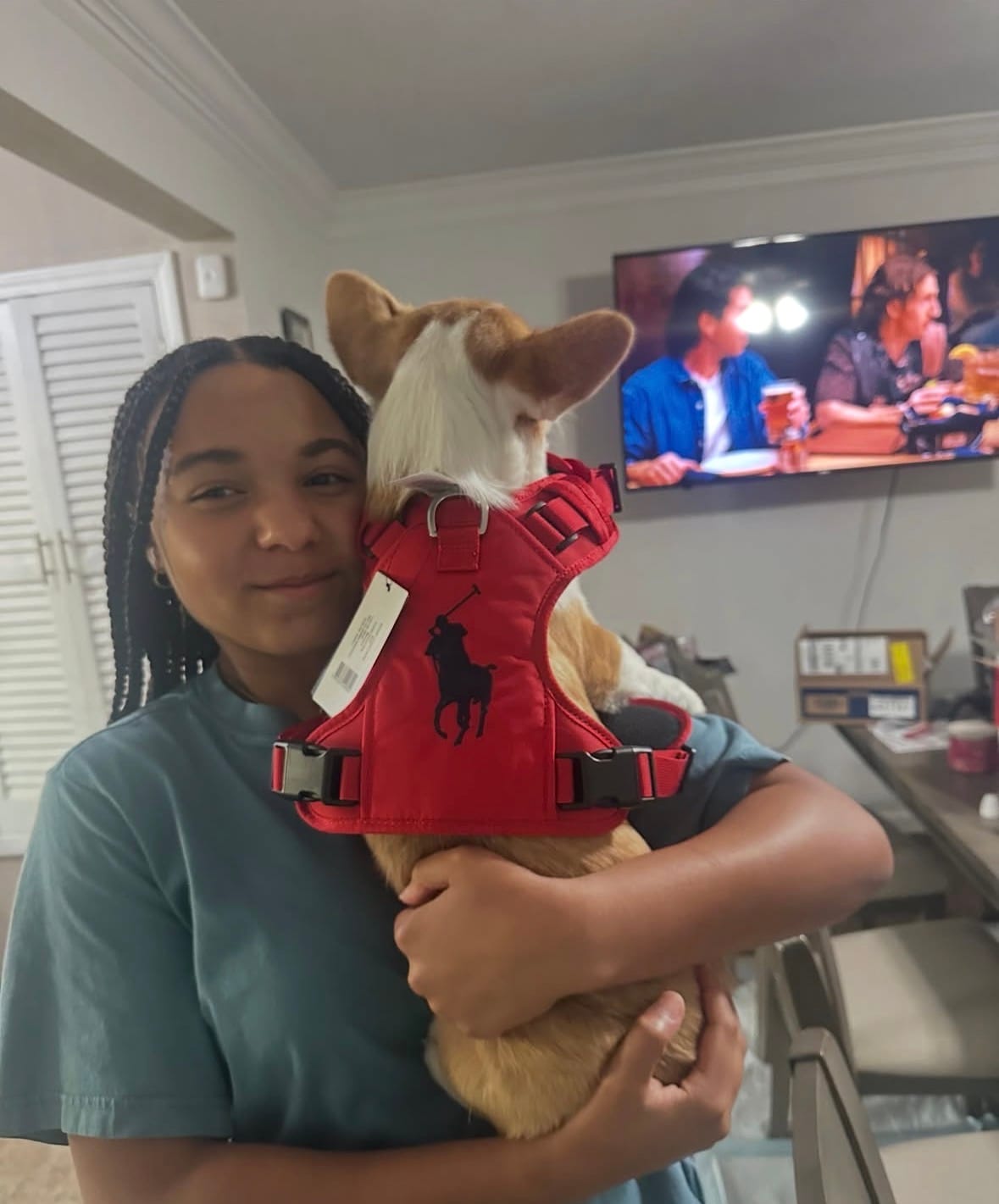 Customer photo review of Polo Ralph Lauren Nylon Dog Harness