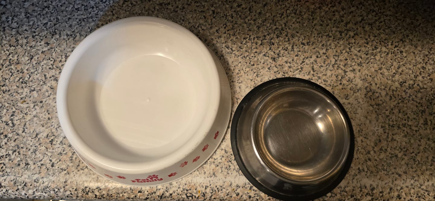 Customer photo review of Plato para Perros PetFamily