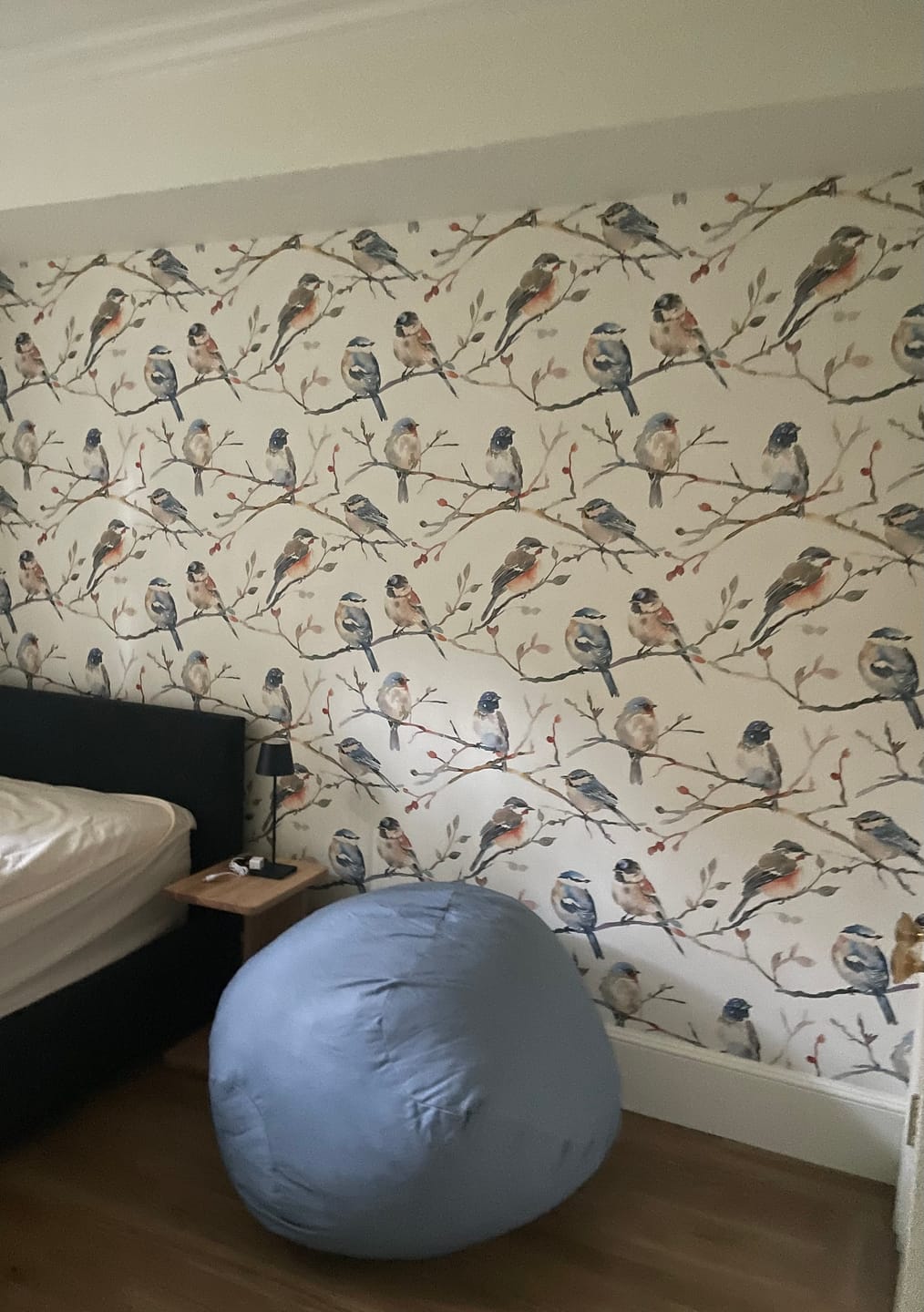 Customer photo review of Watercolor Birds Wallpaper, Muted Pastel Colors Birds on the Branches Wallpaper, Peel and Stick Nursery Nature Beige Wall Decor
