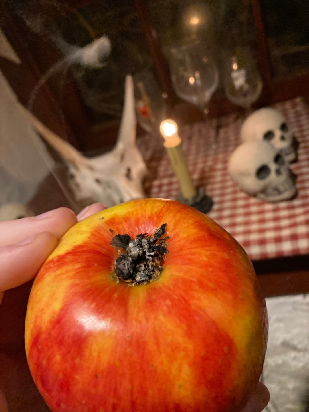 Customer photo review of Purple Push Pop -THCa Flower
