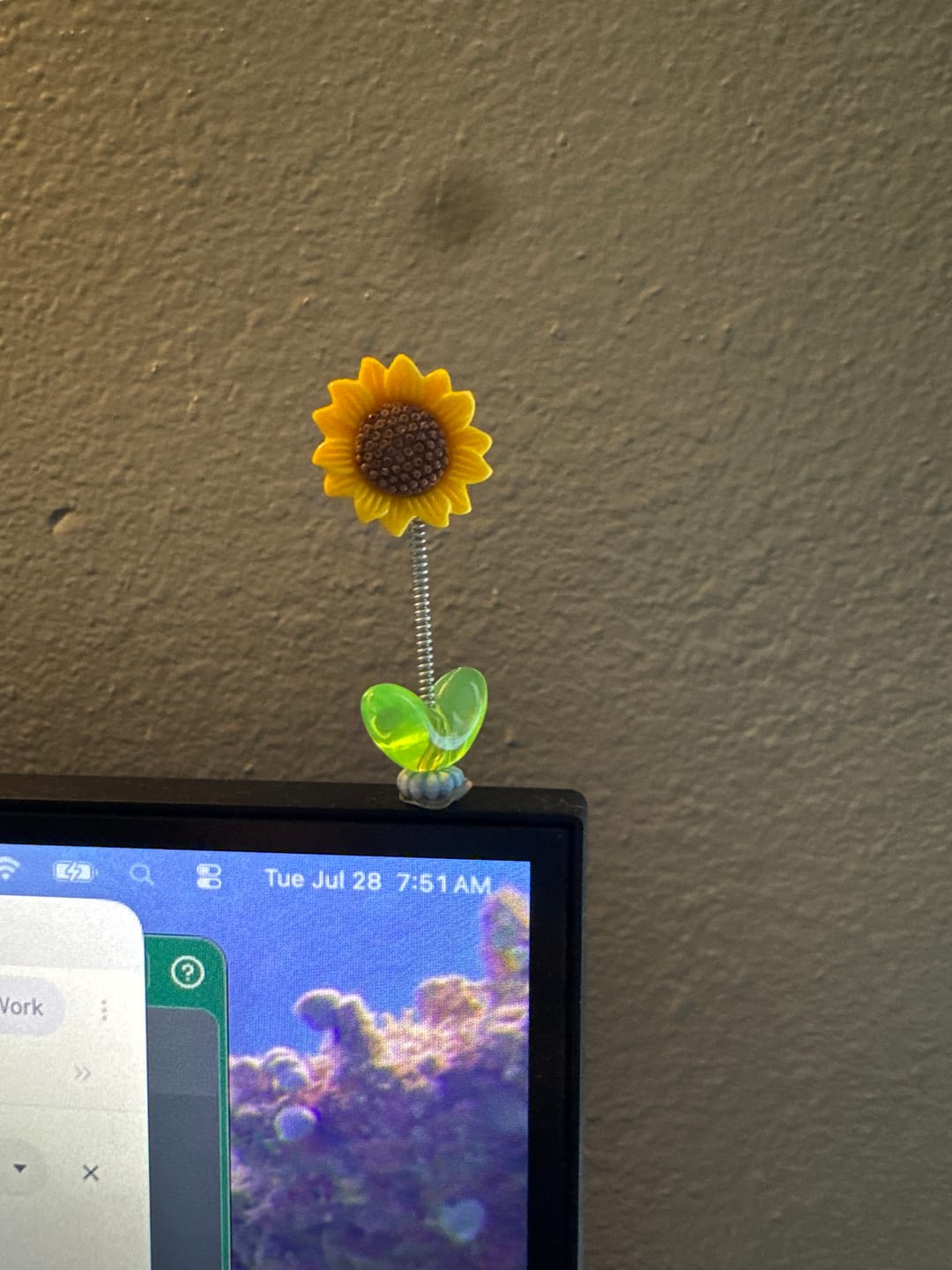 Customer photo review of Mini Shaking Sunflowers