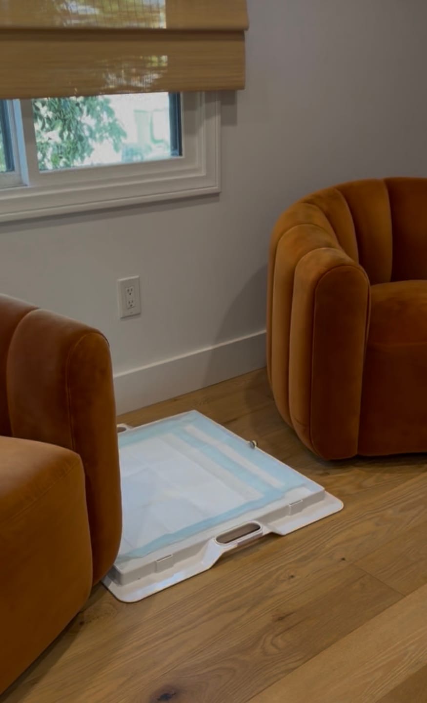 Customer photo review of Nomad Nap Travel & Portable Dog Bed