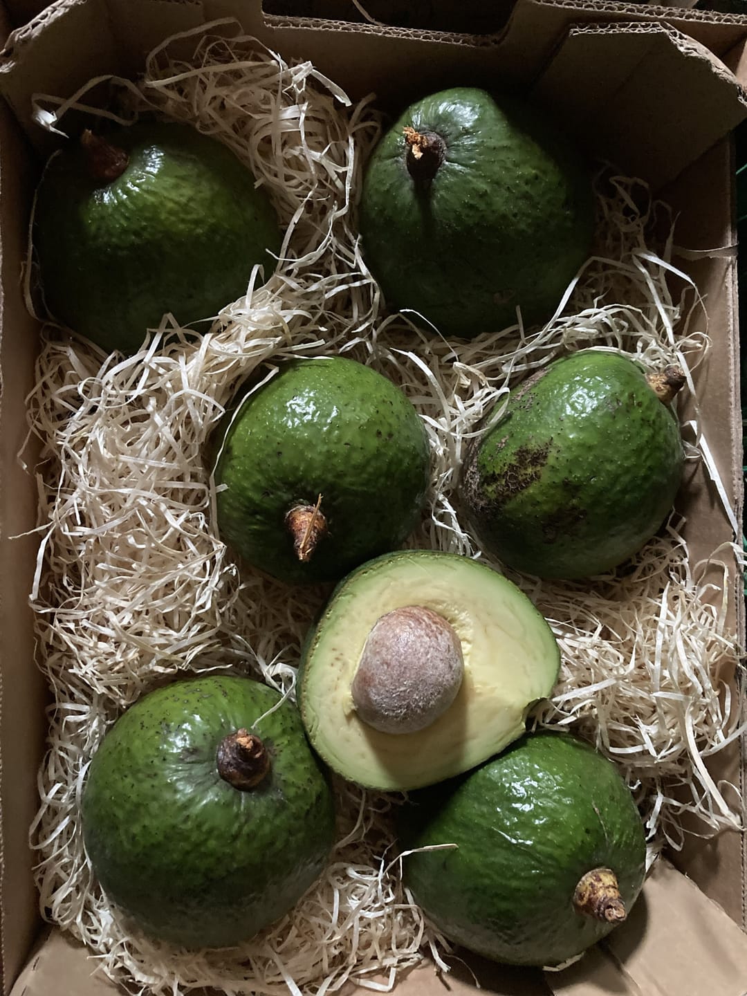 Customer photo review of Avocado Margarida (Stk. ca. 500g)