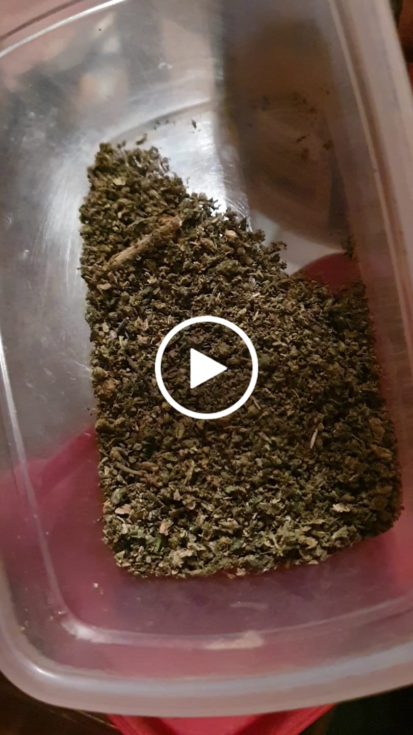 Customer video review of Verschnitt  - CBD Blüte (5 Gramm)