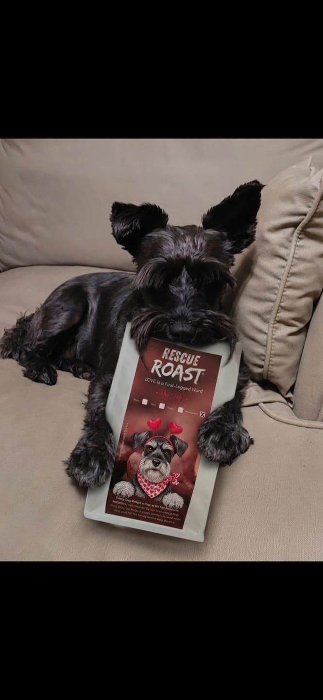 Customer photo review of Schnauzer - LOVE Edition 2