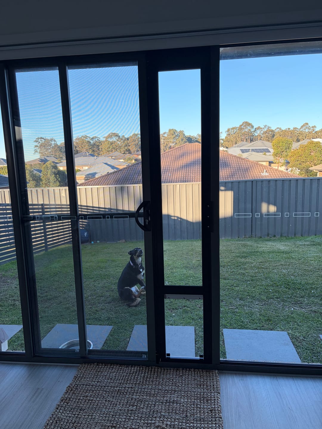 Customer photo review of Pet Door Inserts