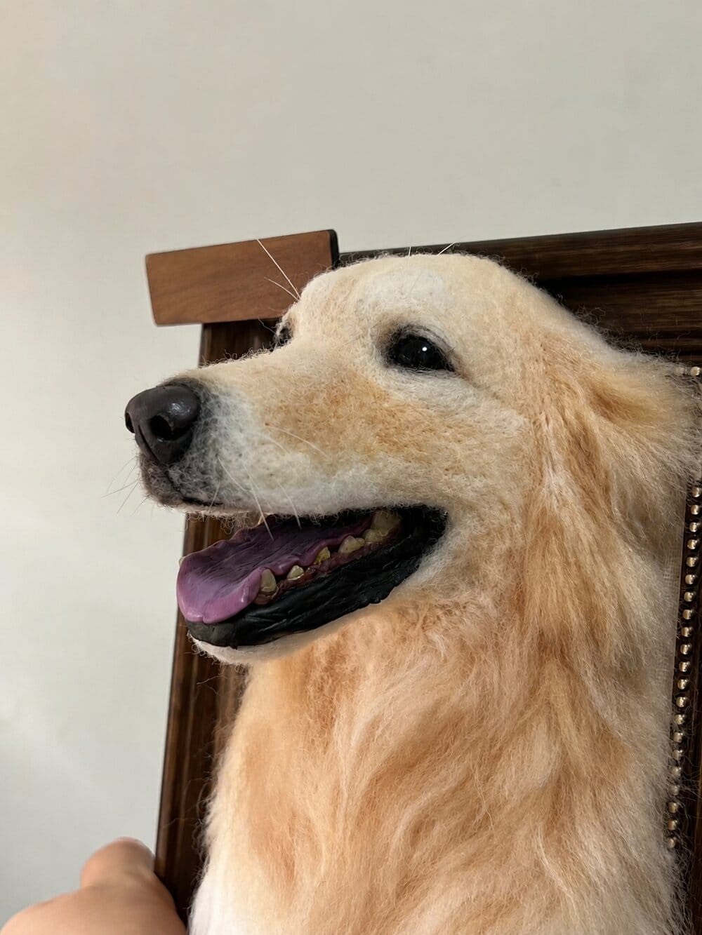 Customer photo review of Custom Pet Cloning Felt Portrait Frame