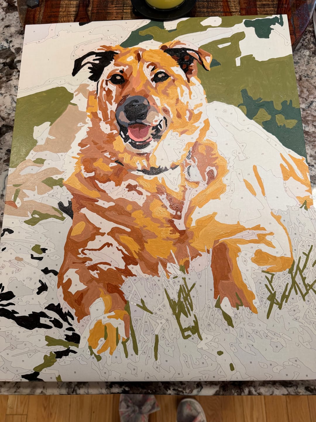 Customer photo review of Custom Paint By Numbers Kit