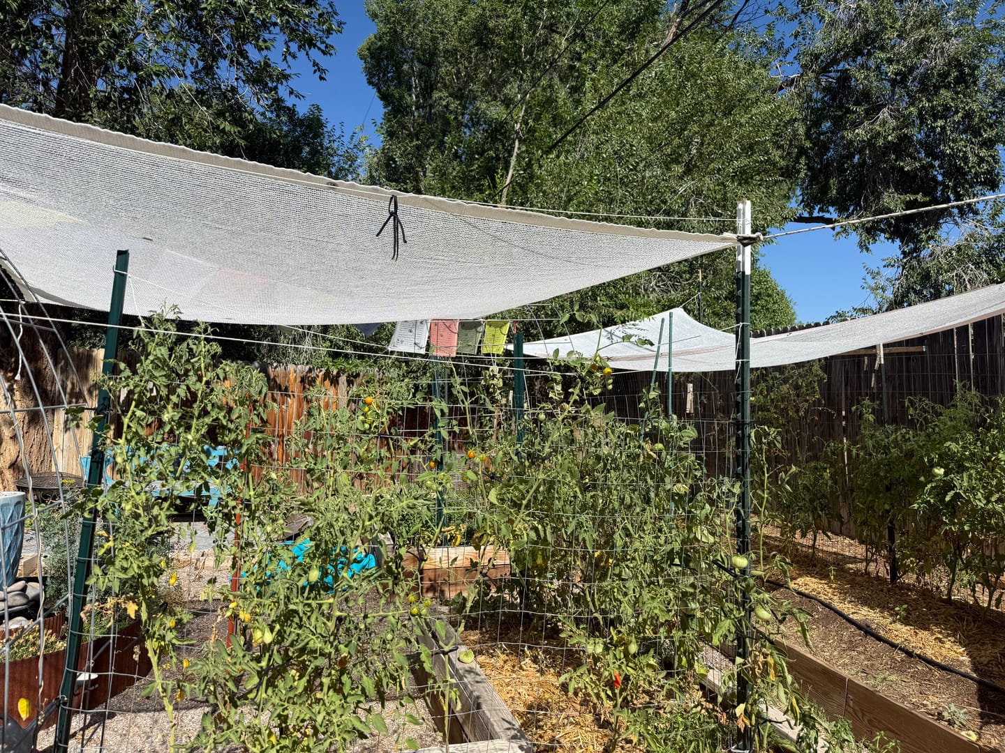 Customer photo review of 50% Shade Cloth