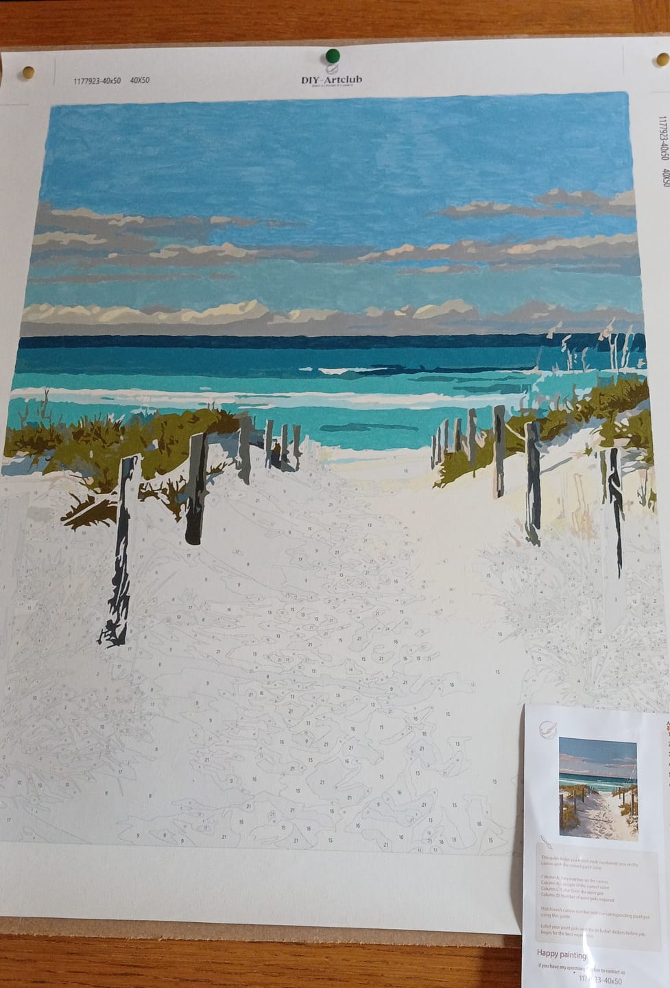 Customer photo review of Beach Path | Paint by Number