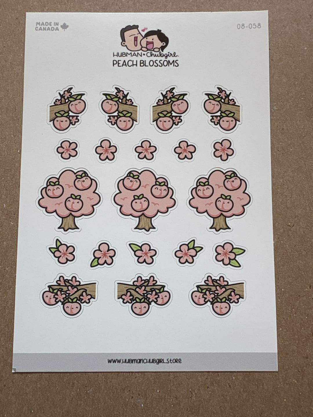 Customer photo review of Peach Blossoms Planner Stickers