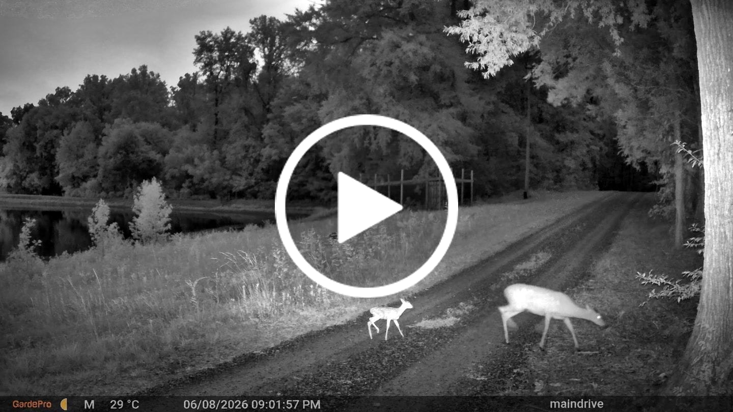 Customer video review of GardePro Link 1.0 3000ft(1km) Long-Range Wireless Trail Camera